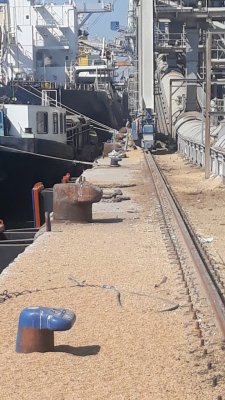CNAPM a finalizat proiectul „Implementarea unei dane specializate într-o zonă cu adâncimi mari - Dana 80”