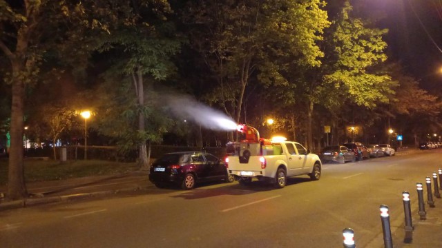 Primăria Constanța continuă acțiunile de dezinsecție