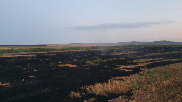 Incendiu de VEGETAȚIE USCATĂ în Tulcea!
