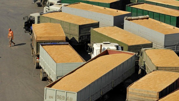 Interzicerea exporturilor de alimente, din India până în Argentina, riscă să alimenteze inflația