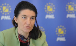 Violeta Alexandru