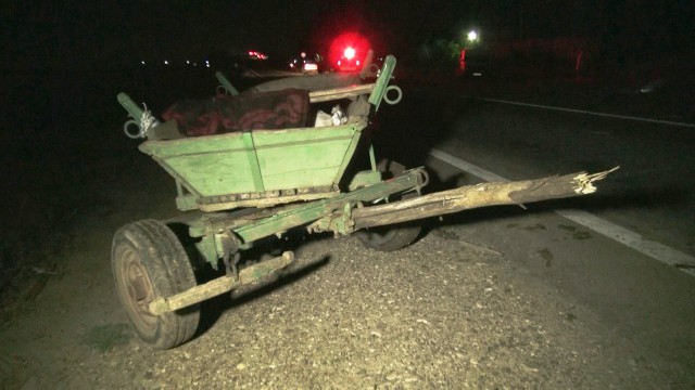 Accident rutier între o căruță și un autoturism, între Izvoru Mare și Peștera