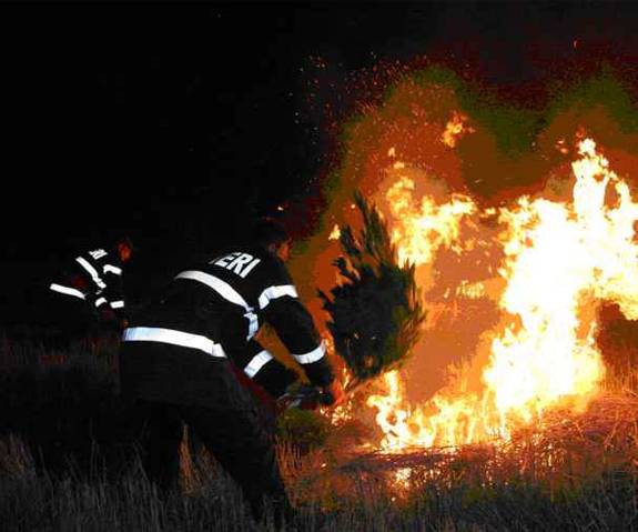 Incendiu de vegetație uscată, pe malul lacului Oltina