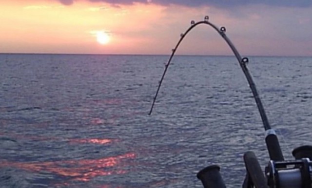 Comisia Europeană a propus cotele de pescuit pentru 2022 în Marea Mediterană şi în Marea Neagră