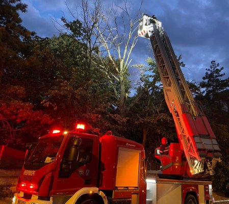 Pompierii au intervenit pentru degajarea unei crengi ce punea în pericol pietonii. VIDEO