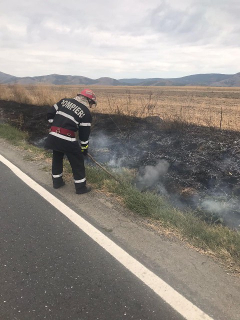 INCENDIU de VEGETAȚIE USCATĂ, în localitatea GRECI