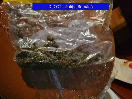PERCHEZIȚII la TULCEA, într-un dosar de TRAFIC de DROGURI; 5 indivizi, ARESTAȚI