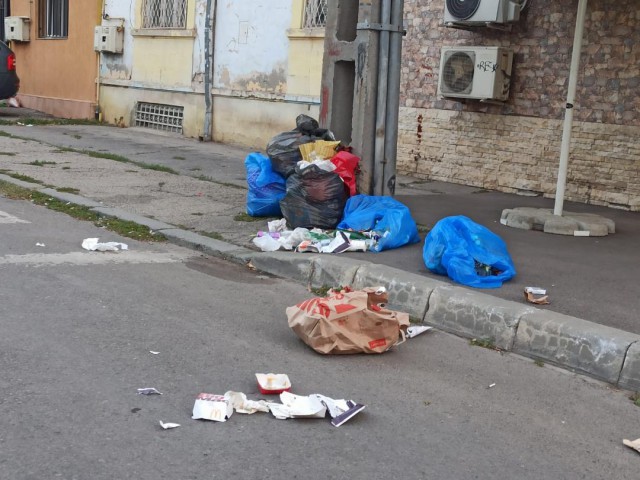 Polițiștii locali au aplicat 168 de SANCȚIUNI pentru aruncarea gunoiului pe domeniul public