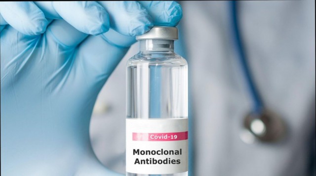 MS a semnat un contract pentru livrarea în luna noiembrie a 10.000 de doze de anticorpi monoclonali