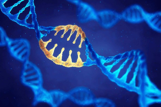 Replicarea ADN-ului: Secretele complexe ale transmiterii vieții dezvăluite de cercetători