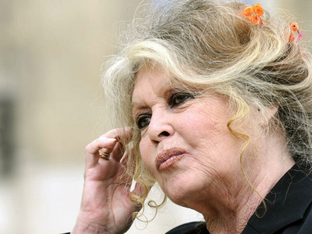Actrița Brigitte Bardot ar putea primi o amendă de 25.000 de euro pentru injurii rasiale