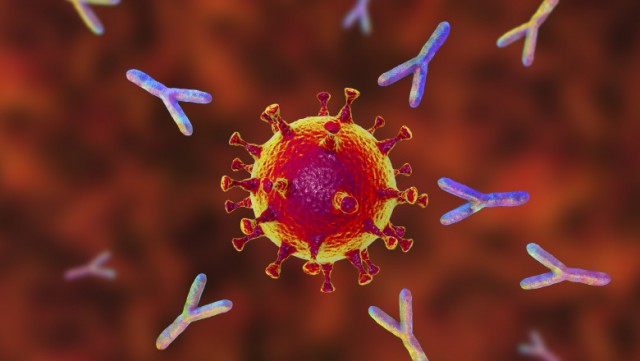 De ce testele de anticorpi sunt irelevante pentru a determina în ce măsură suntem protejați de coronavirus