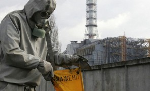 Chiar și după 35 de ani de la explozia de la Cernobîl, ciupercile din Germania sunt contaminate nuclear