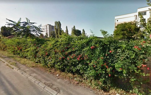 O FIRMĂ NOUĂ și FĂRĂ ANGAJAȚI ridică un BLOC în KM 4-5