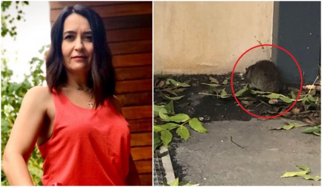 Amalia Năstase s-a trezit cu șobolani în curte: „Mulțumesc mult partidului că mi-a dat șansa asta“