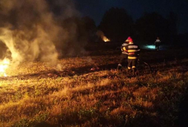 INCENDIU în apropierea localității Garvăn. Un hectar de miriște a LUAT FOC