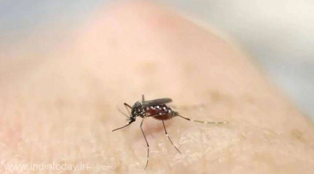 Un caz de virus Zika, depistat în nordul Indiei