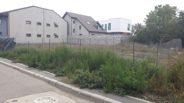 Înghesuială IMOBILIARĂ în PALAZU Mare!