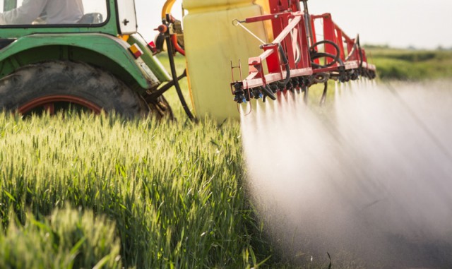 Parlamentul European cere obiective obligatorii de reducere a cantităţii de pesticide folosite