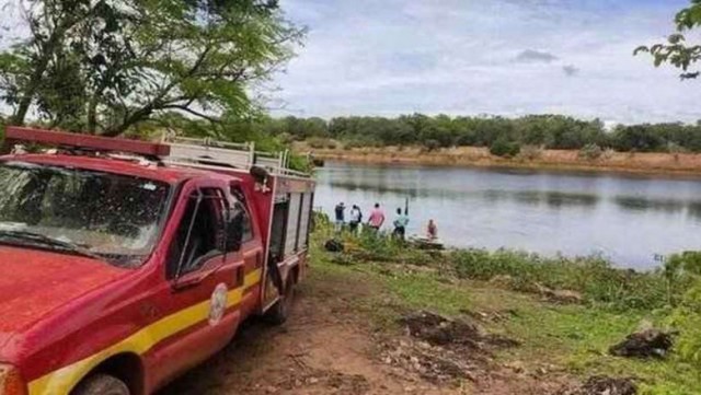 Un bărbat a sărit într-un iaz ca să scape de albine, dar a murit devorat de pești piranha