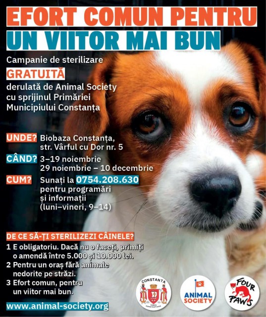 Primăria Constanța și Animal Society continuă proiectul „Efort Comun pentru un viitor mai bun“
