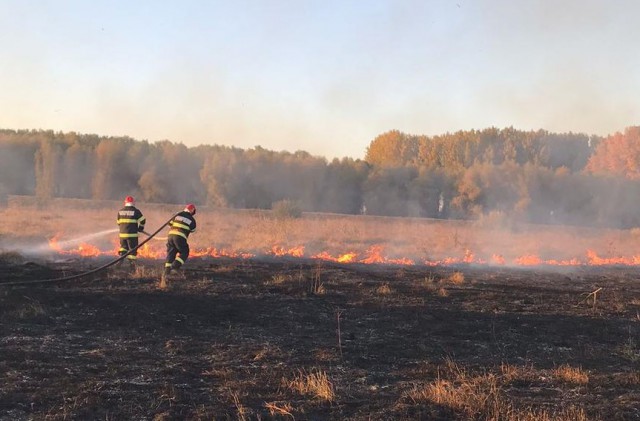 Incendiu apropierea localității I.C. Brătianu