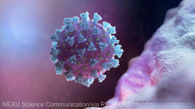 O nouă variantă de coronavirus, cu mutaţii fără precedent în proteina Spike, a fost identificată în Franța