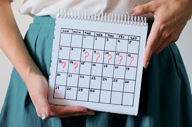 Amenoreea sau absența menstruației: simptome, cauze, tratament