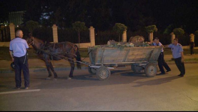 HOŢII care se foloseau de CĂRUŢĂ pentru a TRANSPORTA MARFA FURATĂ, CONDAMNAŢI