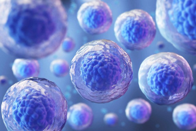 Studiu: Celulele stem crescute în laborator, utile pentru transplanturi