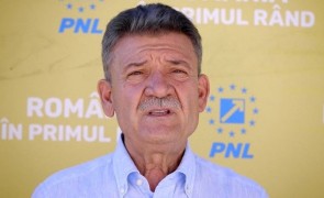 Mircea Hava