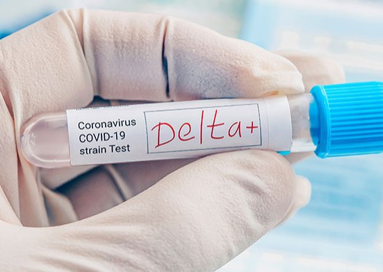 Jurma: Delta Plus, noua variantă a coronavirusului, ar putea constitui baza valului 5