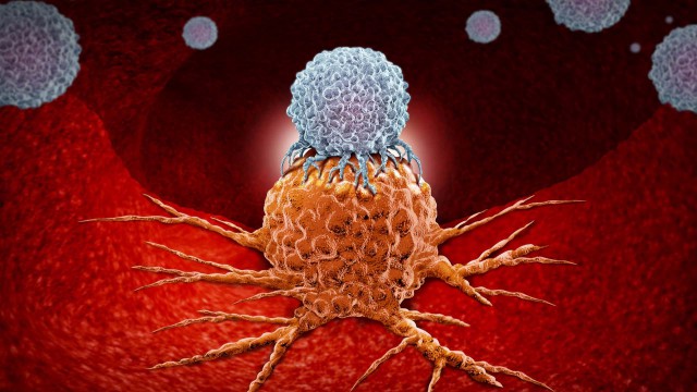 Cum contribuie bacteriile „ascunse” din tumori la răspândirea cancerului