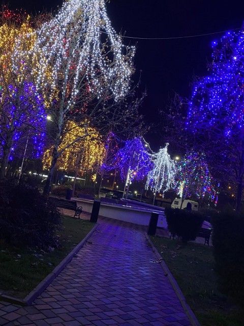 Primăria Cernavodă dă startul iluminatului de Crăciun
