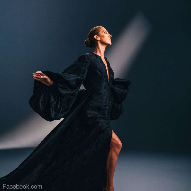 Familia cântăreţei Celine Dion critică filmul 'Aline', inspirat din viaţa acesteia