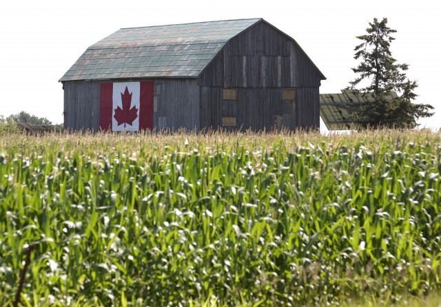 Canada: 19 muncitori agricoli gutemalezi, supuşi unor condiţii de muncă proaste, 'salvaţi' de autorităţi