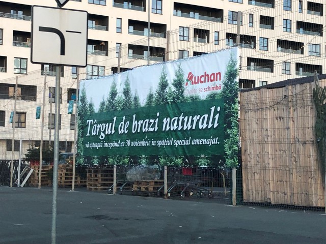 Câți BANI trebuie să SCOȚI din BUZUNAR pentru a împodobi BRADUL de CRĂCIUN
