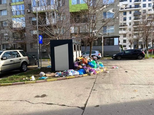 În TOMIS PLUS, GHENELE sunt GOALE și GUNOIUL... pe LÂNGĂ!