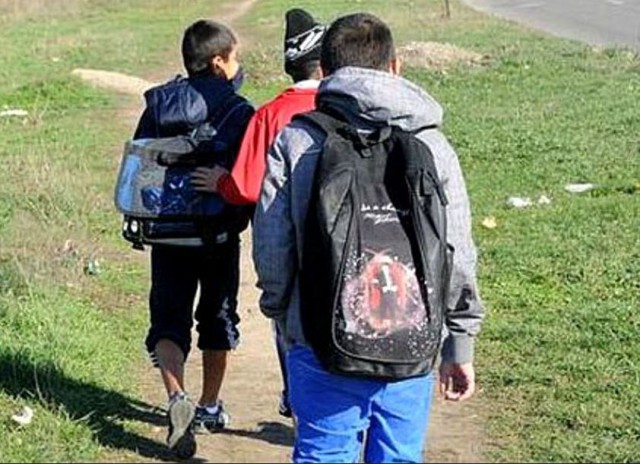Guvernul a aprobat Programul Național pentru Reducerea Abandonului Școlar