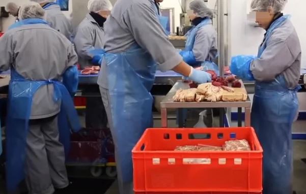 Români şi bulgari, trataţi precum SCLAVII la abatorul Tönnies în Germania