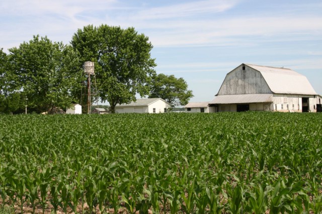 Ministerul Agriculturii plăteşte peste 56,4 milioane de lei producătorilor agricoli din sectorul vegetal