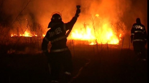 Un lan de grâu din Oltina a luat foc