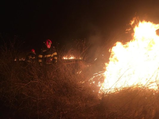INCENDIU VIOLENT în apropierea localității Niculițel. VIDEO