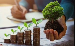 Băncile acordă credite mai ieftine pentru 'activitățile verzi'