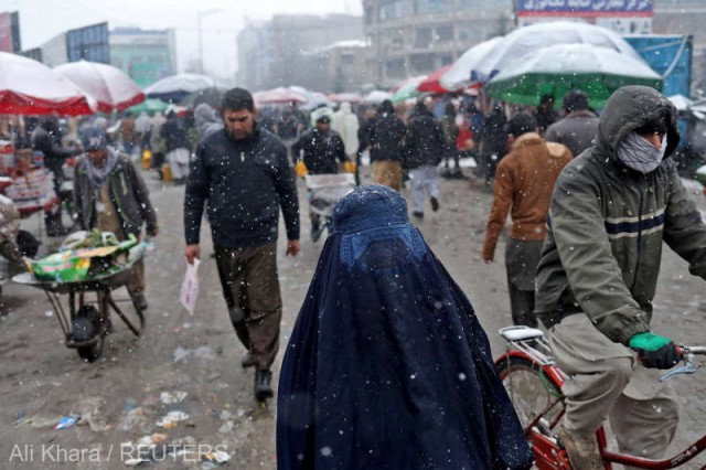 Peste 500.000 de afgani şi-au pierdut locurile de muncă după revenirea talibanilor la putere