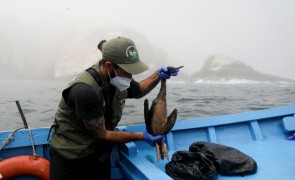 Catastrofă ecologică în Peru. A fost declarată Stare de Urgență după scurgerea a 6000 de barili de petrol