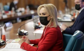 Gabriela Firea: 