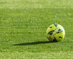 Premier League: Newcastle a pierdut acasă, 1-2 cu Sunderland