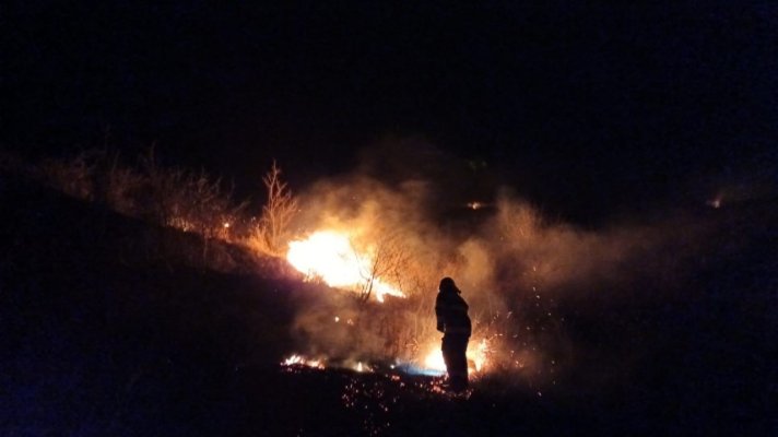 Incendiu în apropierea localității Jijila: 10 hectare de vegetaţie, mistuite de flăcări