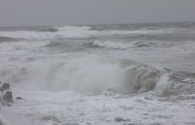 Cod galben de vânt puternic, în Dobrogea